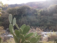 cantara gurne23122011 121